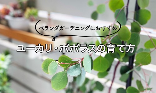 跑步机减脂肪效果好吗-跑步机减脂肪网跑步机减脂肪的原理知识网站,分享跑步机减脂肪效果好吗大全