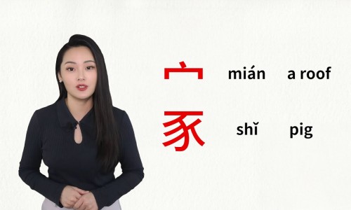 跑步机减脂肪网跑步机减脂肪的原理知识网站,分享跑步机减脂肪效果好吗大全